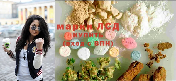 индика Березники