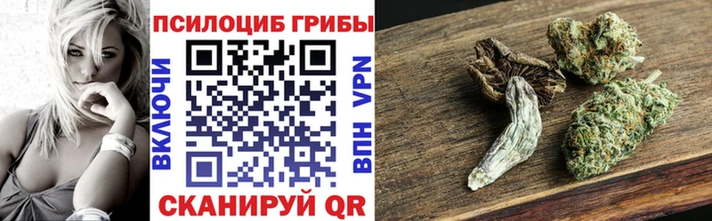Псилоцибиновые грибы Psilocybine cubensis  Беслан 