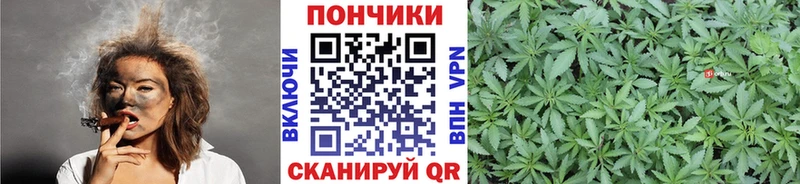 Бошки марихуана индика  Беслан 